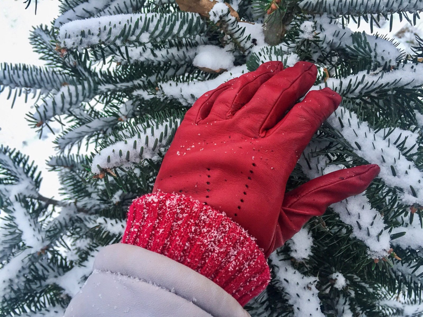 Close up of red leather glove texture